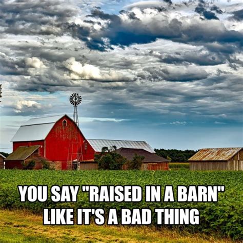 farming memes|farm animal memes.